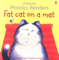 Image of Fat cat on a mat