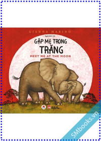 Image of Gặp mẹ trong trăng