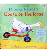 Image of Goose on the loose
