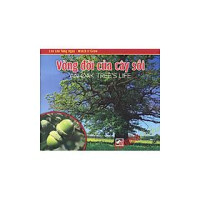 Image of Vòng đời của cây sồi